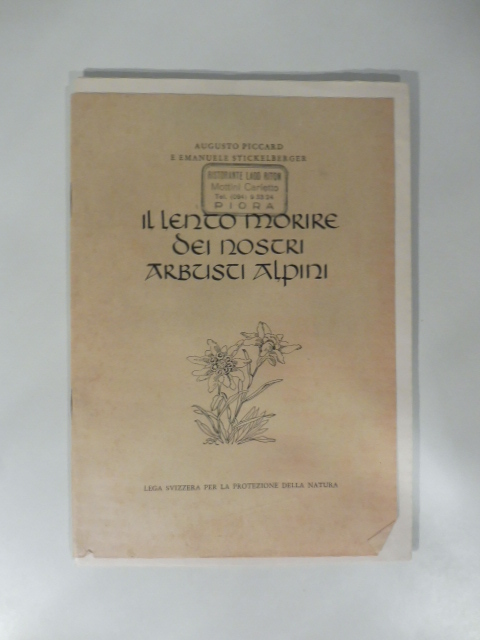 Il lento morire dei nostri arbusti alpini